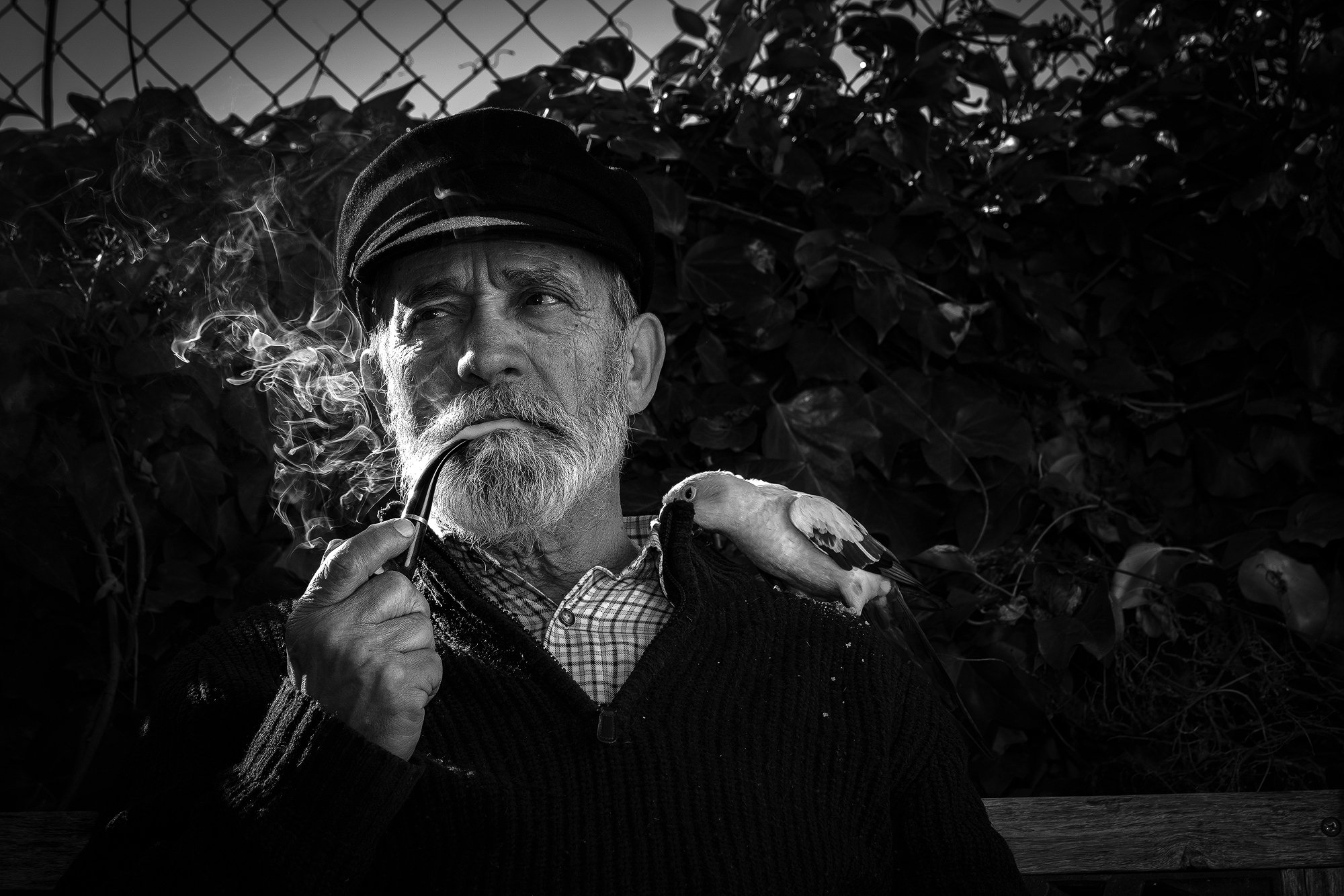 Photo by Santiago Delgado