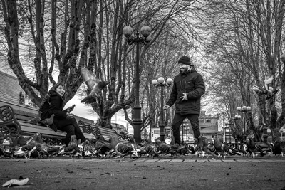 Couples photoshoot by Santiago D