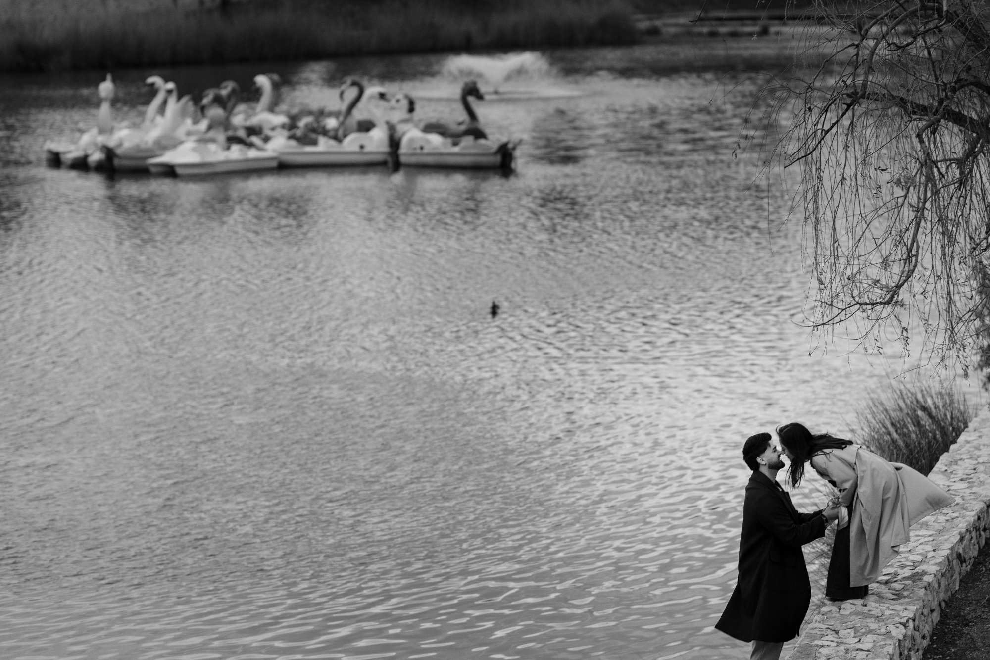 Photo by Ricardo Pizzimenti
