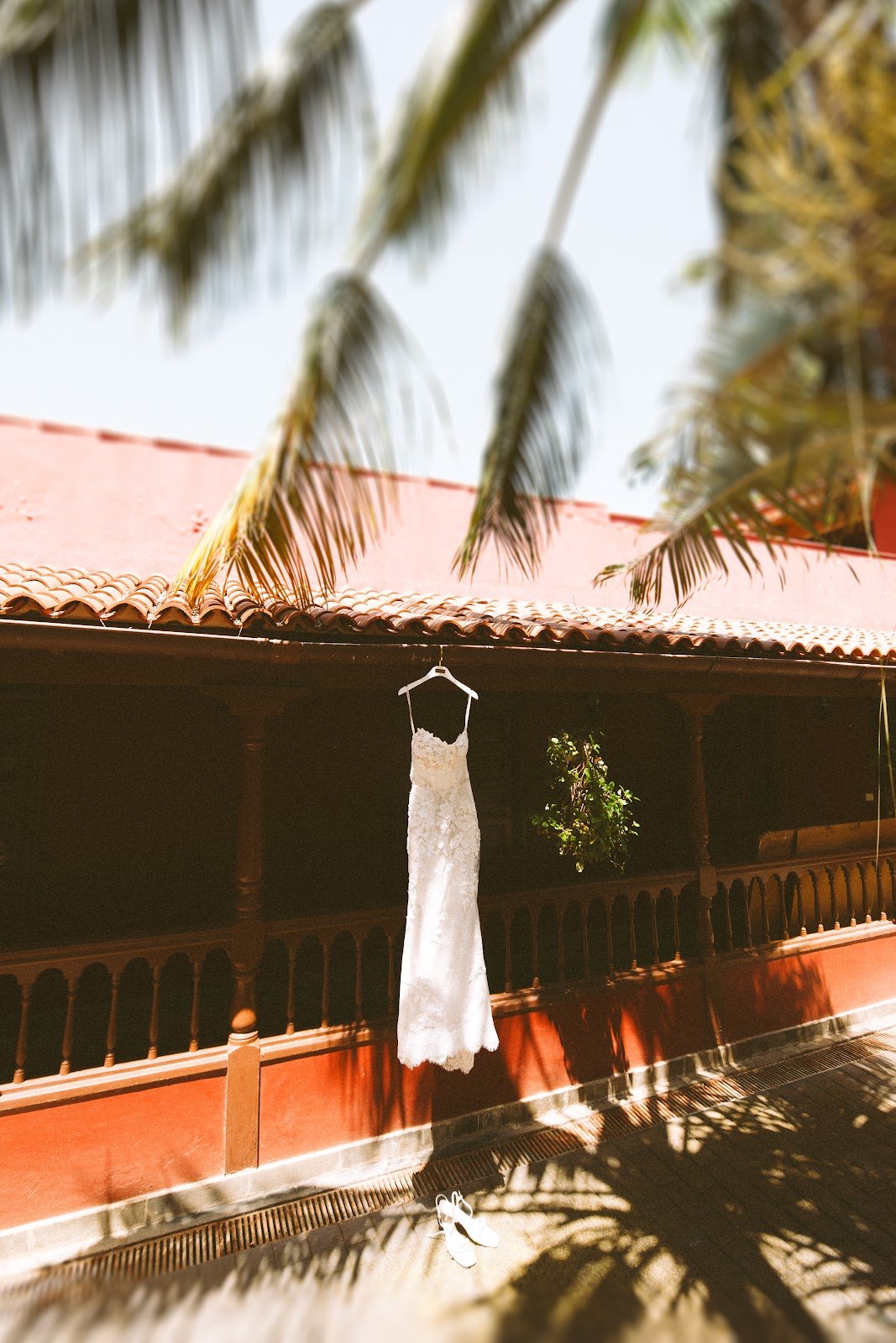 Photo from Trang L.'s review